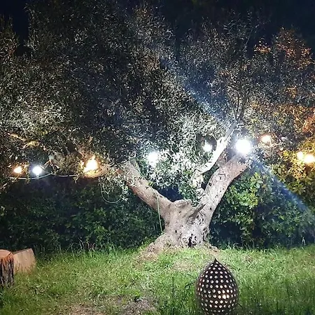 Nirya - Unique Trulli & Μαρτίνα Φράνκα