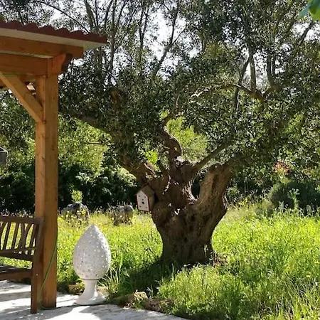 Nirya - Unique Trulli &