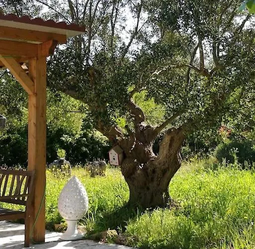 Nirya - Unique Trulli &